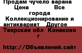 Продам чучело варана › Цена ­ 15 000 - Все города Коллекционирование и антиквариат » Другое   . Тверская обл.,Конаково г.